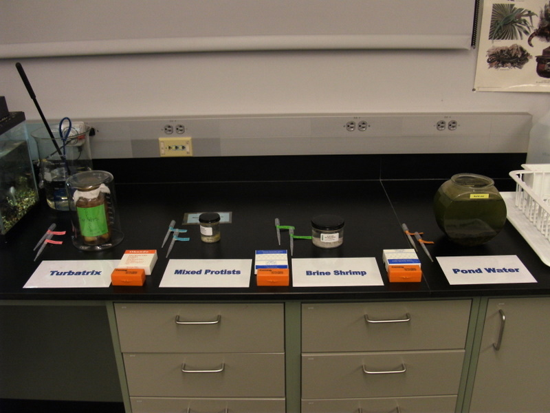 wet mount slide materials