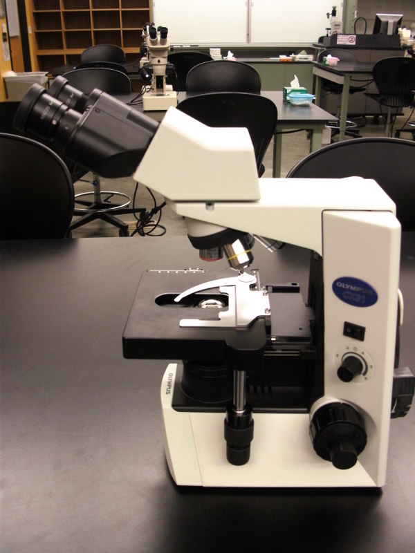 compound microscope