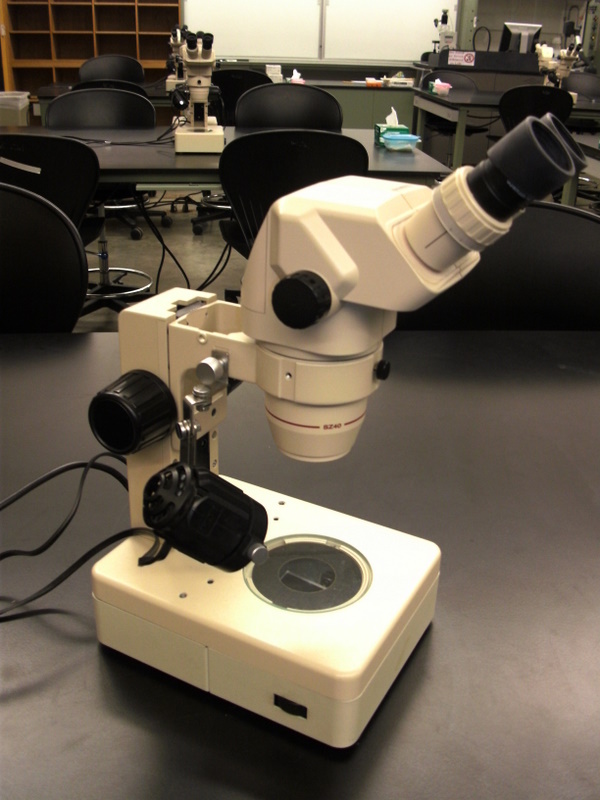 dissecting microscope