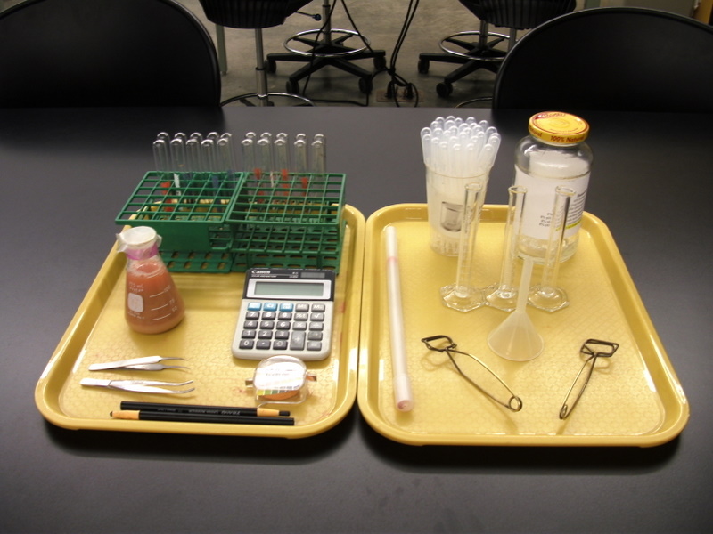 enzyme lab equipment