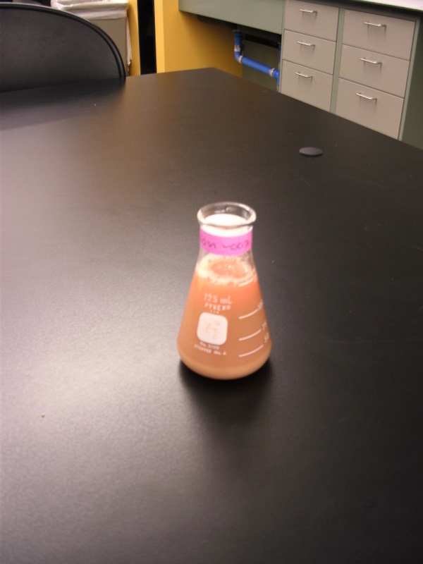 cow liver homogenate