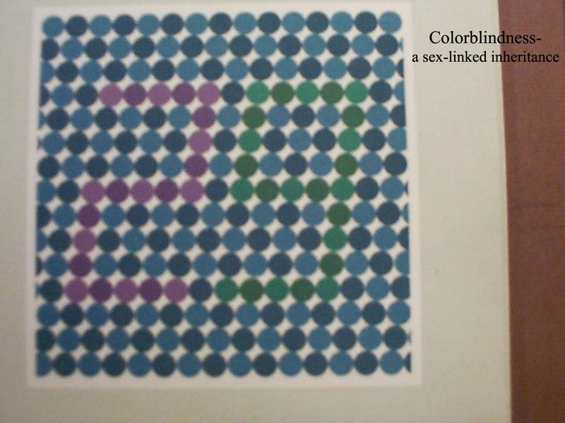 colorblind chart