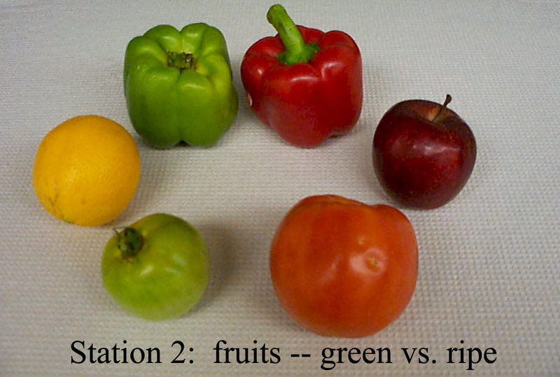 fruits
