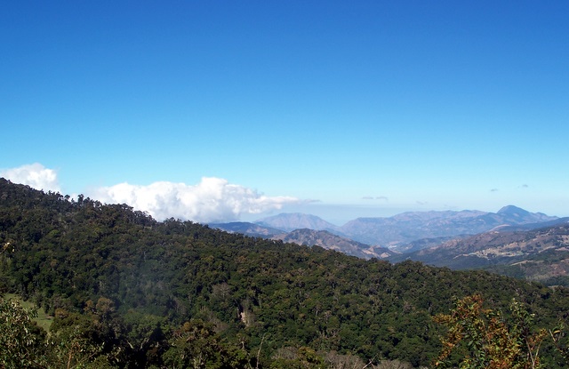 cloud forest view