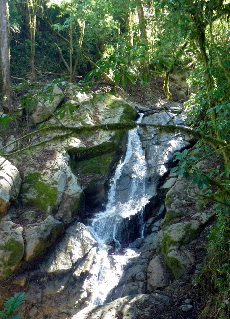 Stream at Finca Quetzale