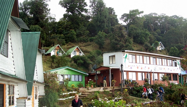 Morning at Finca Quetzale