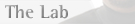 the lab