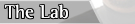 the lab