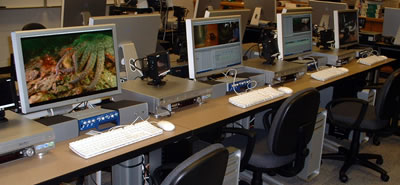 The Lab
